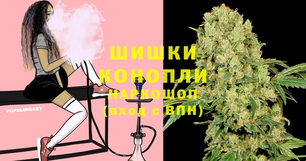 шишки Абинск