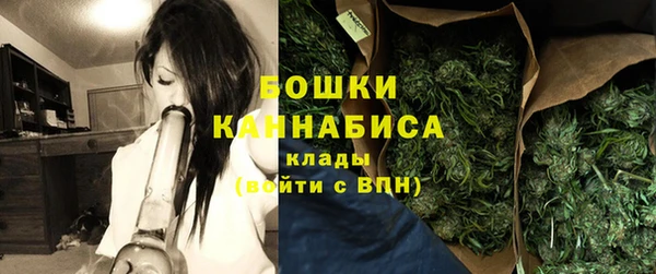 шишки Абинск