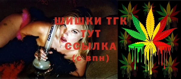 шишки Абинск
