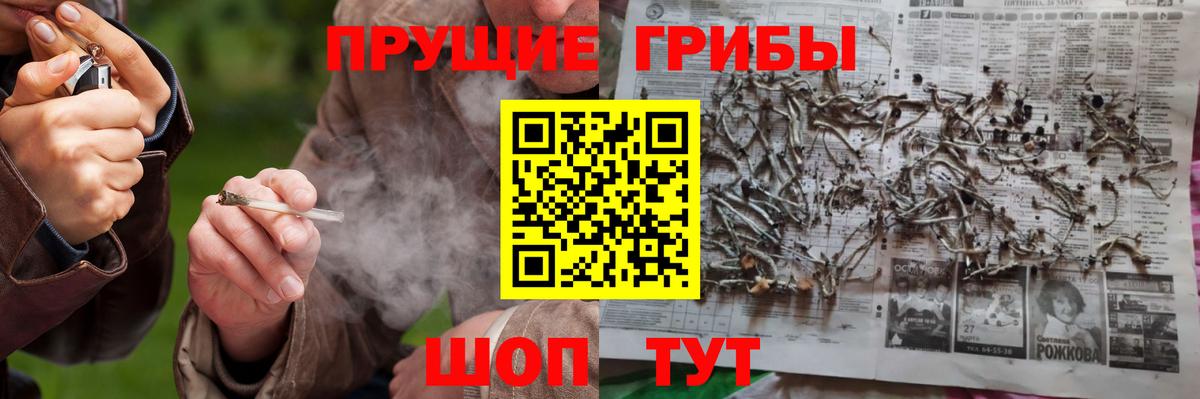 Псилоцибиновые грибы мицелий  Вход с VPN  Азнакаево  Псилоцибиновые грибы прущие грибы 