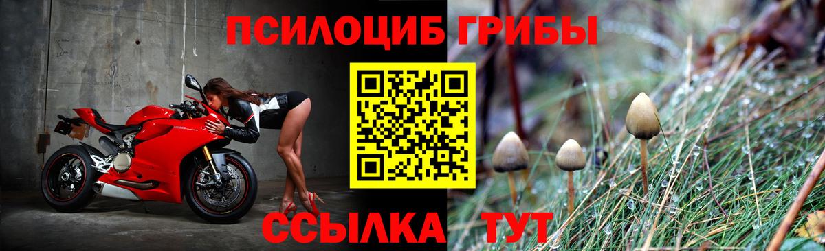 Галлюциногенные грибы Cubensis Азнакаево